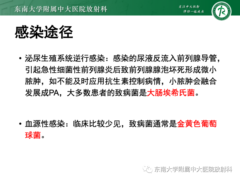 影像PPT - 【PPT】前列腺脓肿-12 影像PPT - 【PPT】前列腺脓肿-12