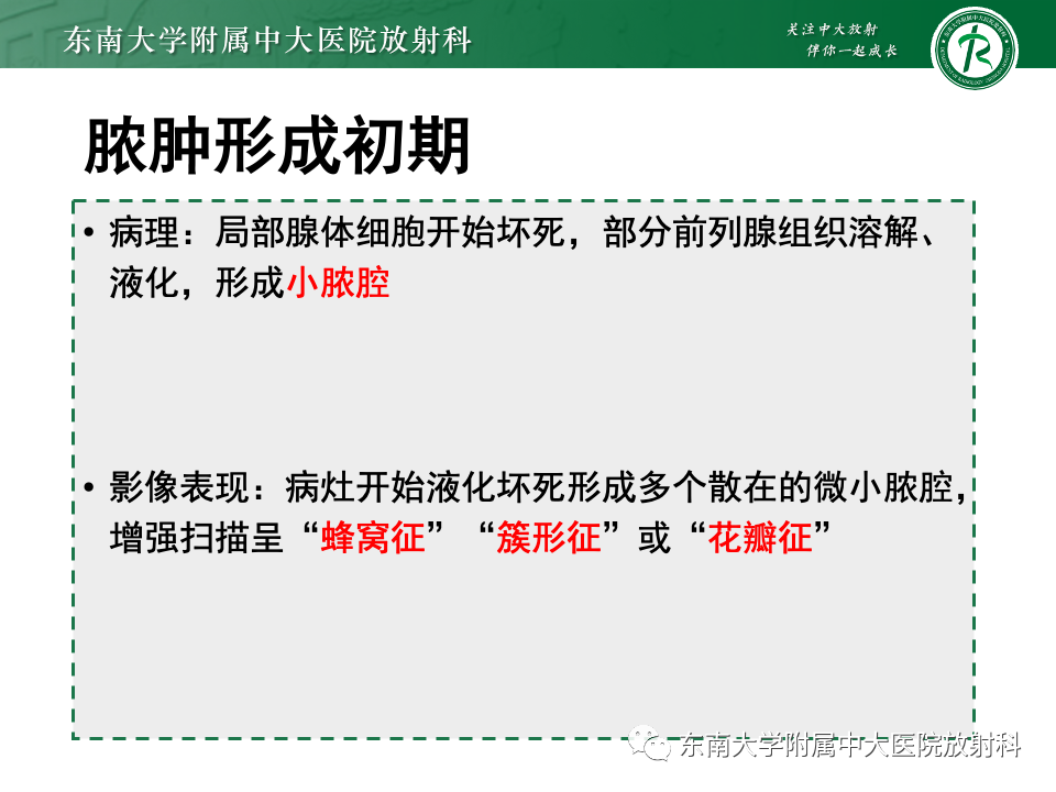 影像PPT - 【PPT】前列腺脓肿-14 影像PPT - 【PPT】前列腺脓肿-14