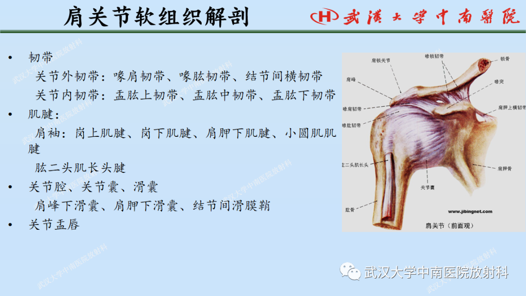 影像PPT - 【PPT】肩关节的MR影像解剖及其慢性损伤-3