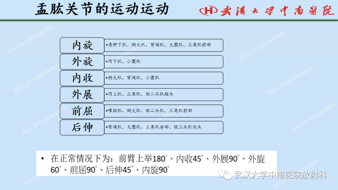 影像PPT - 【PPT】肩关节的MR影像解剖及其慢性损伤-5