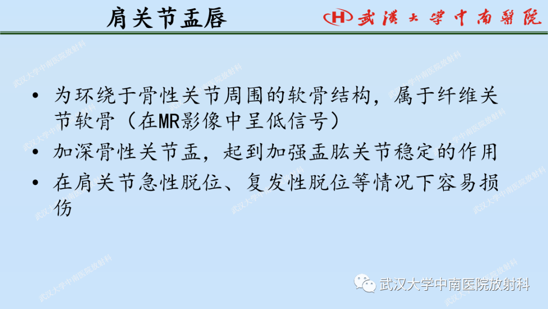 影像PPT - 【PPT】肩关节的MR影像解剖及其慢性损伤-24