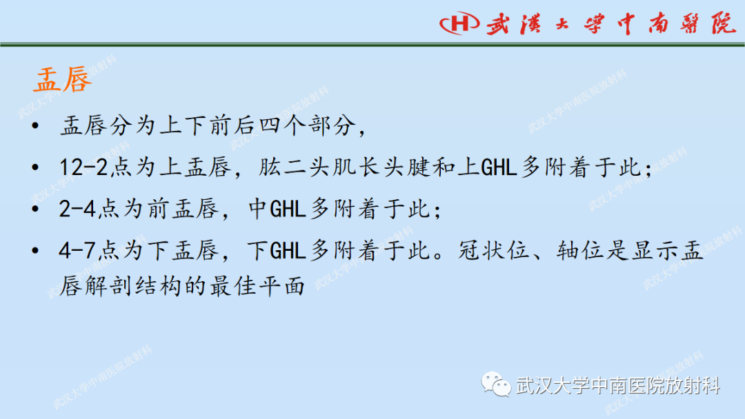 影像PPT - 【PPT】肩关节的MR影像解剖及其慢性损伤-26