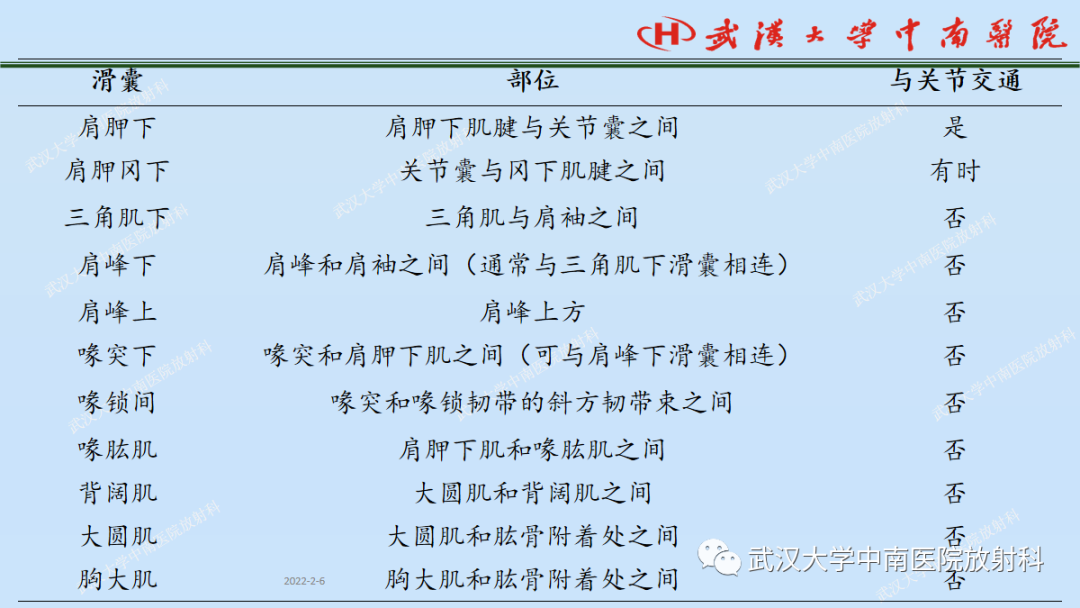 影像PPT - 【PPT】肩关节的MR影像解剖及其慢性损伤-32