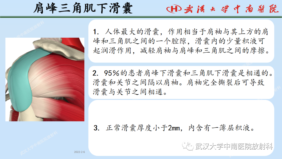 影像PPT - 【PPT】肩关节的MR影像解剖及其慢性损伤-33