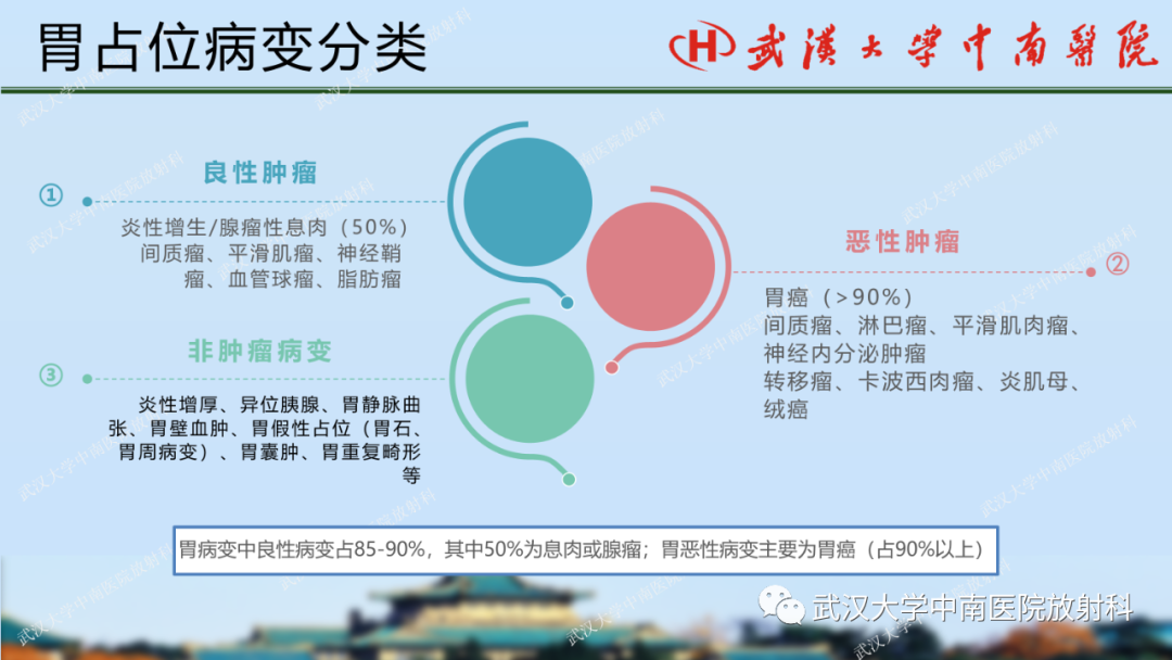 影像PPT - 【PPT】胃占位病变影像诊断分析-15