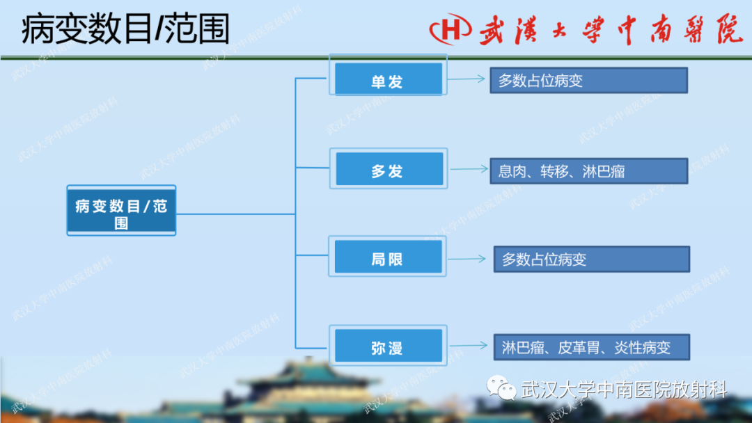 影像PPT - 【PPT】胃占位病变影像诊断分析-19