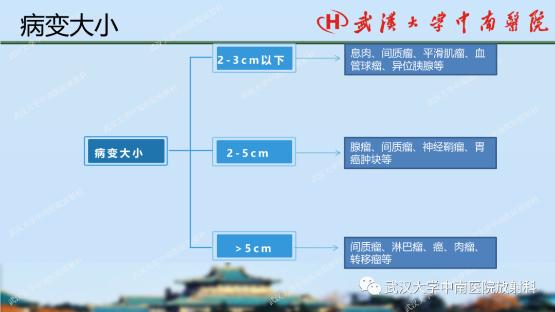 影像PPT - 【PPT】胃占位病变影像诊断分析-27