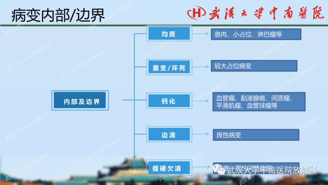 影像PPT - 【PPT】胃占位病变影像诊断分析-31