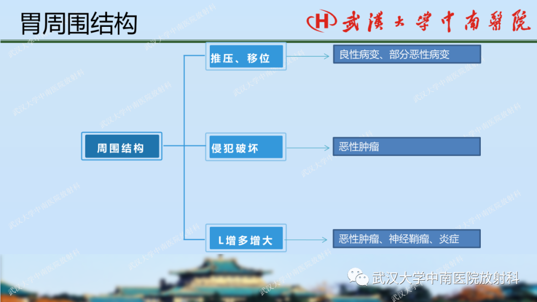 影像PPT - 【PPT】胃占位病变影像诊断分析-40