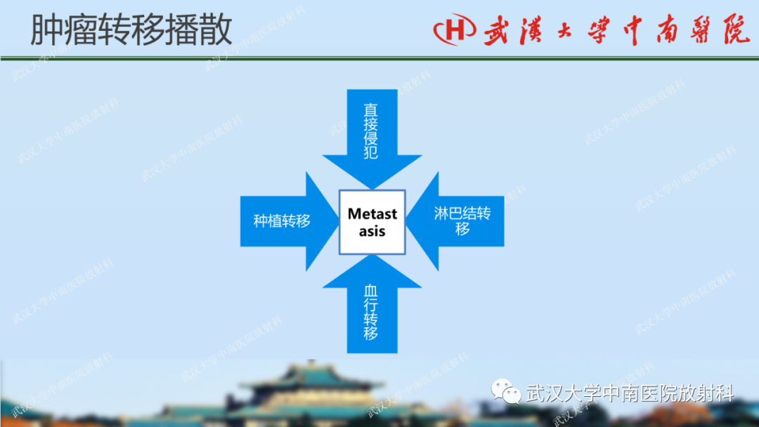 影像PPT - 【PPT】胃占位病变影像诊断分析-43