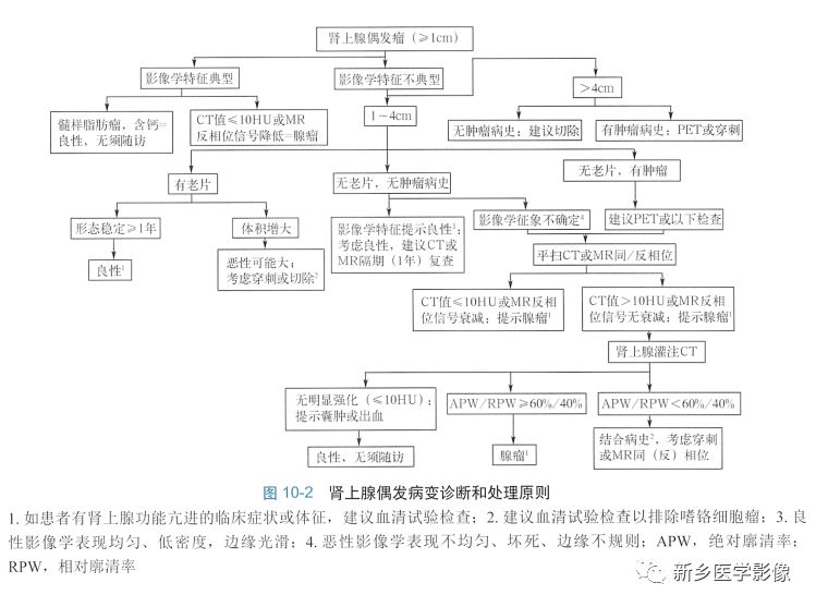 影像PPT - 肾上腺腺瘤的CT分析-2 影像PPT - 肾上腺腺瘤的CT分析-2