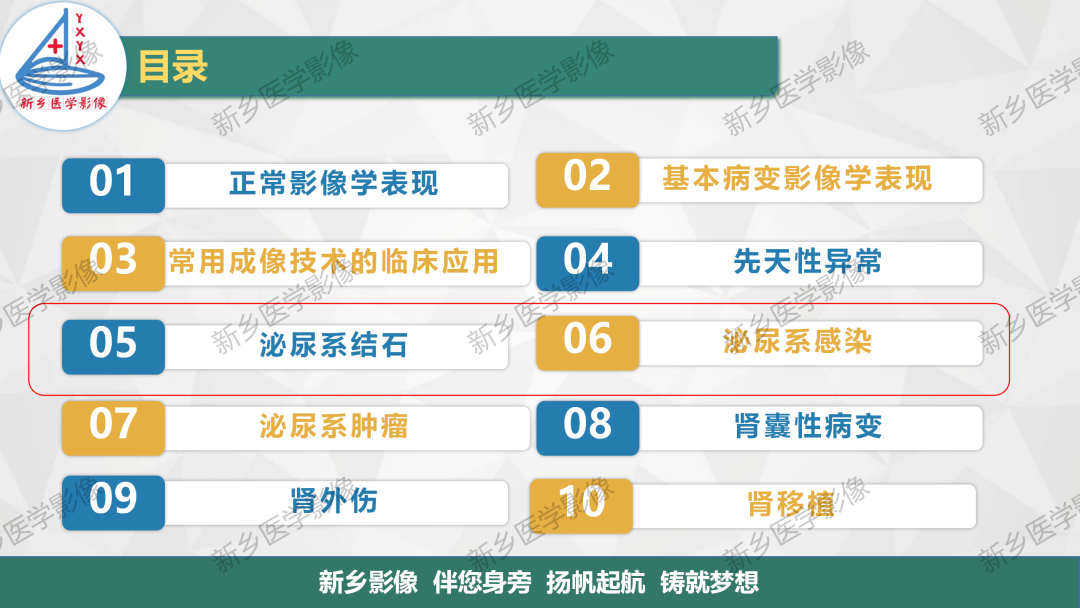 影像PPT - 【PPT】泌尿系结石的影像表现及诊断注意事项-2