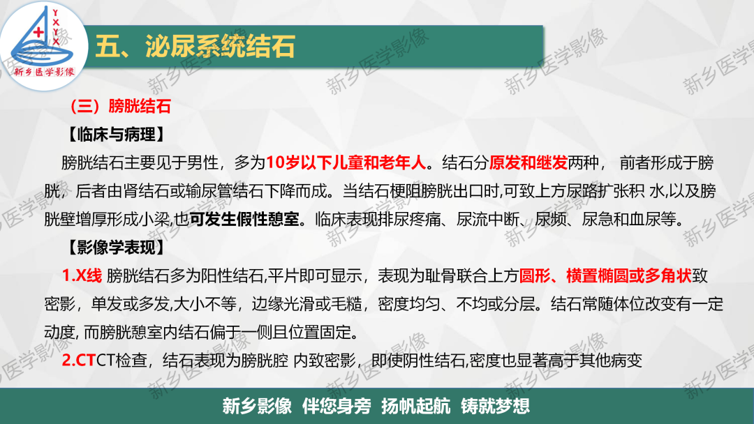 影像PPT - 【PPT】泌尿系结石的影像表现及诊断注意事项-13