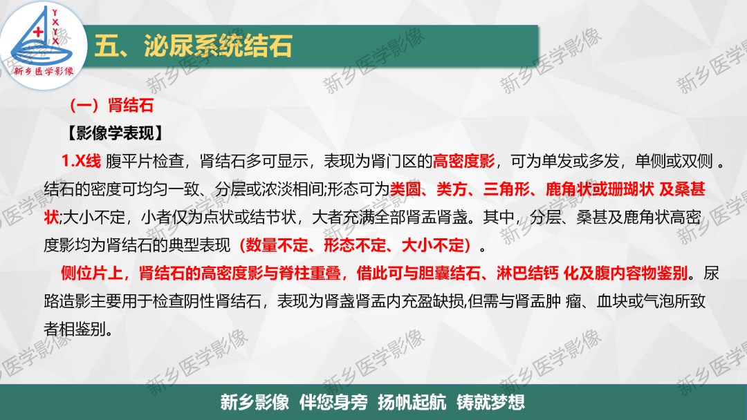 影像PPT - 【PPT】泌尿系结石的影像表现及诊断注意事项-2