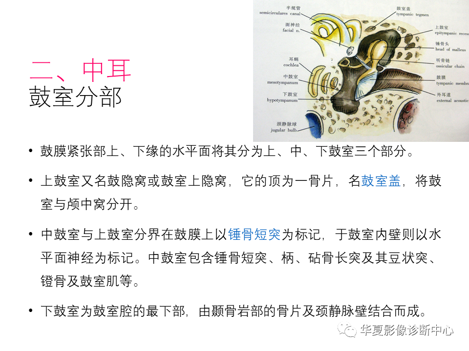 影像PPT - 【PPT】耳的影像解剖及常见疾病诊断-8