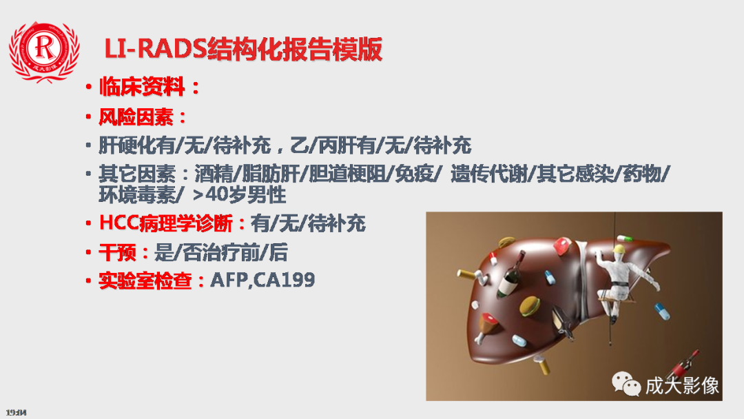 影像PPT - 【PPT】LI-RADS结构化报告实例应用-8
