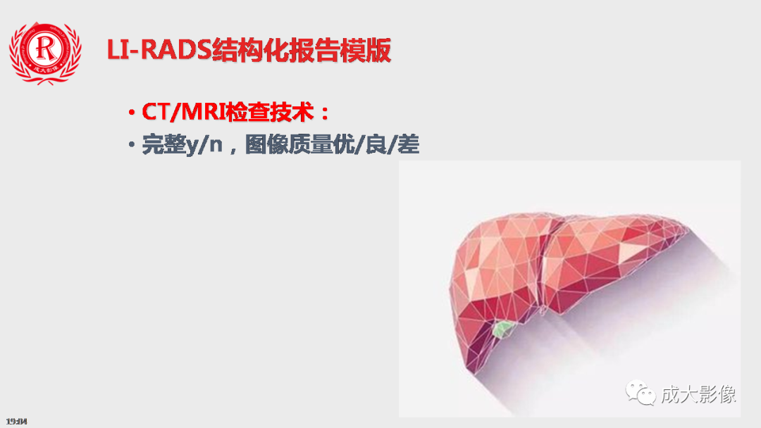 影像PPT - 【PPT】LI-RADS结构化报告实例应用-9