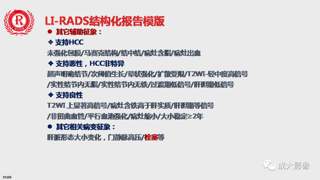 影像PPT - 【PPT】LI-RADS结构化报告实例应用-13