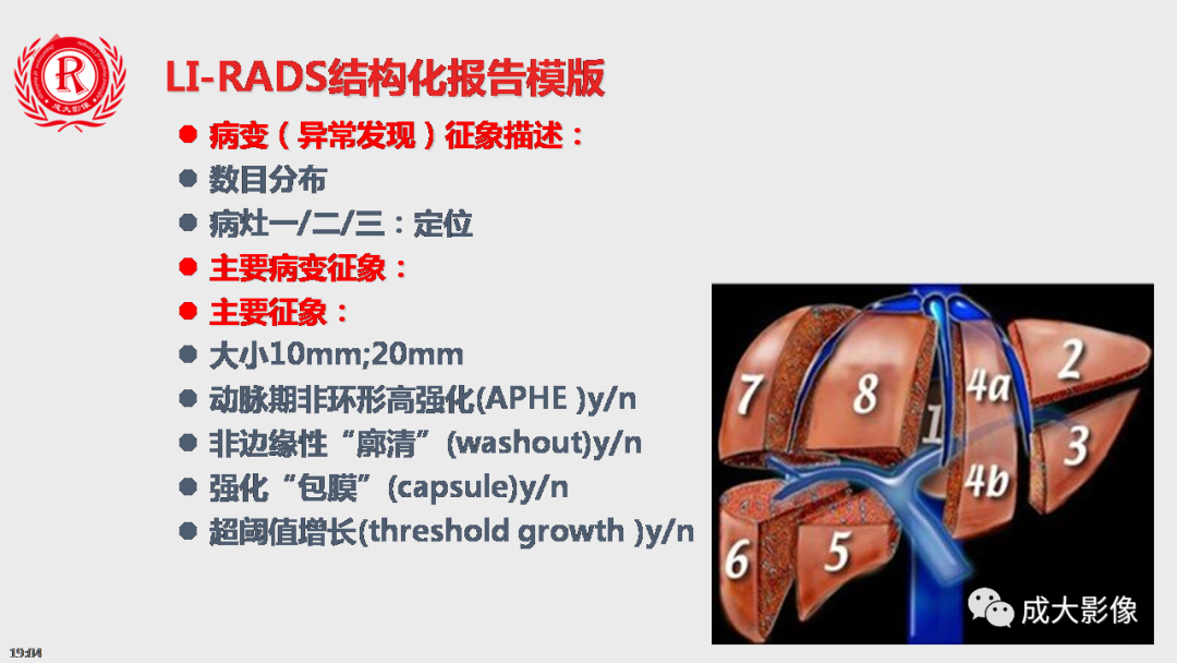 影像PPT - 【PPT】LI-RADS结构化报告实例应用-11