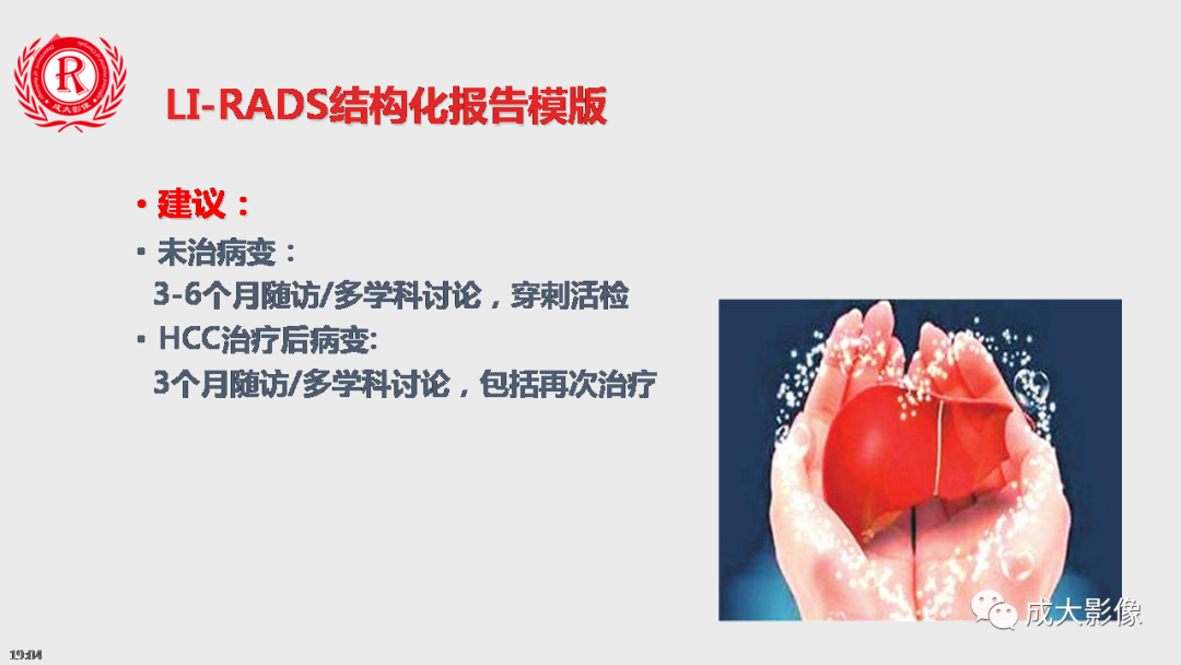 影像PPT - 【PPT】LI-RADS结构化报告实例应用-15