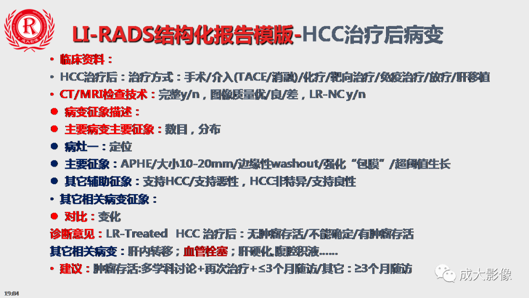 影像PPT - 【PPT】LI-RADS结构化报告实例应用-17