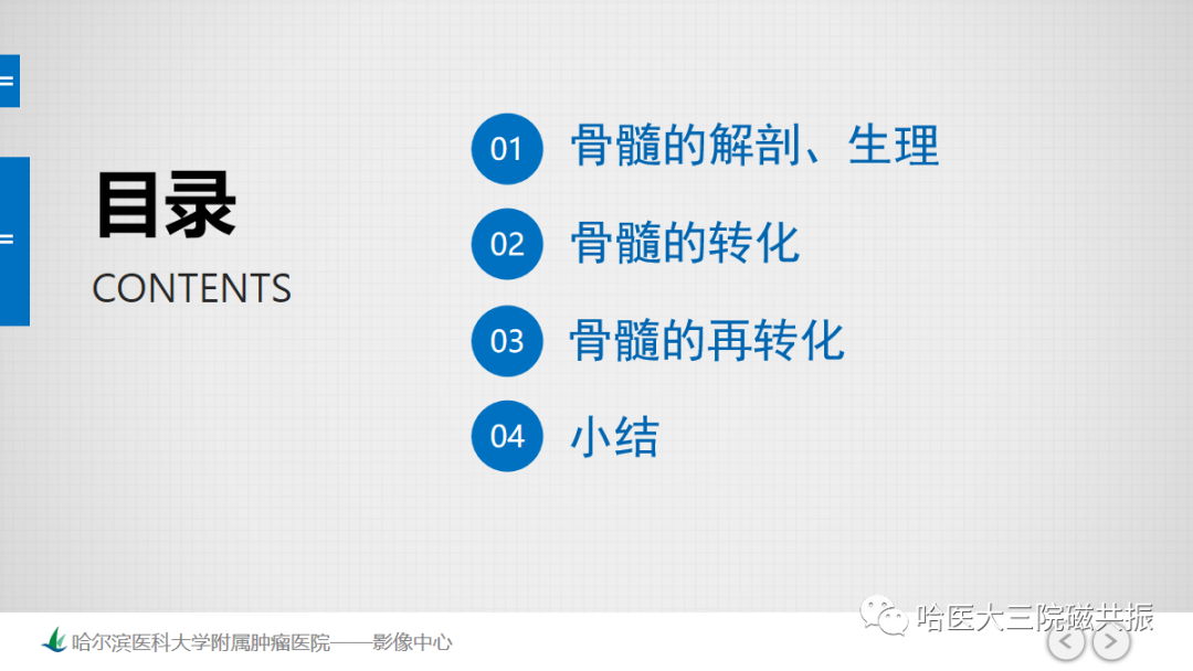 影像PPT - 【PPT】骨髓转化和再转化-18