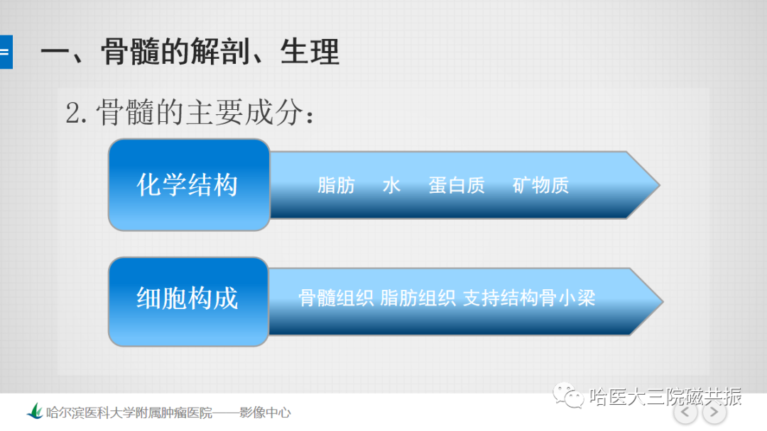 影像PPT - 【PPT】骨髓转化和再转化-21