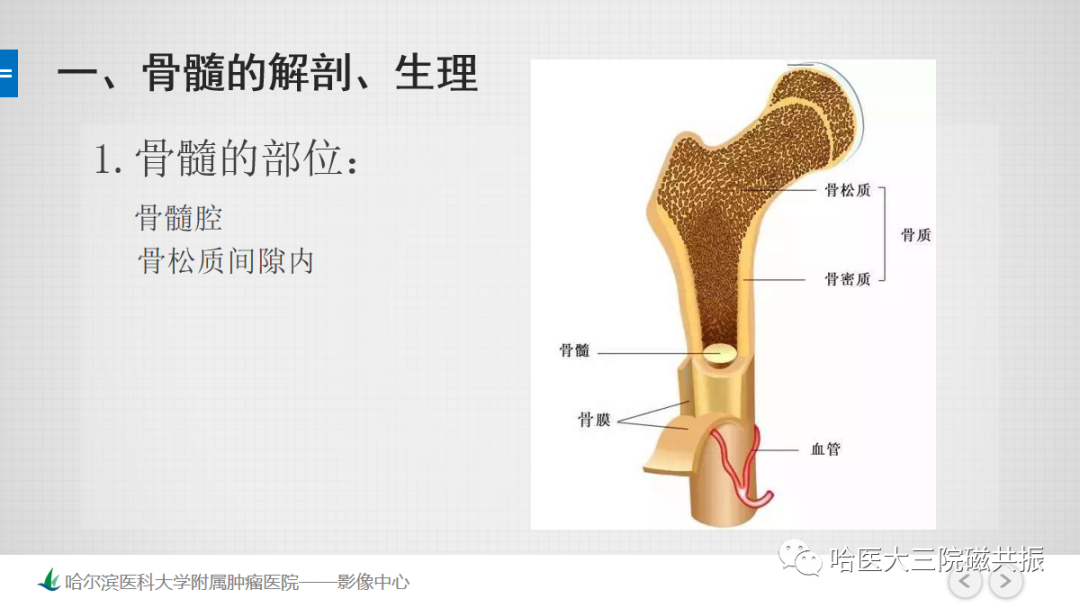 影像PPT - 【PPT】骨髓转化和再转化-20