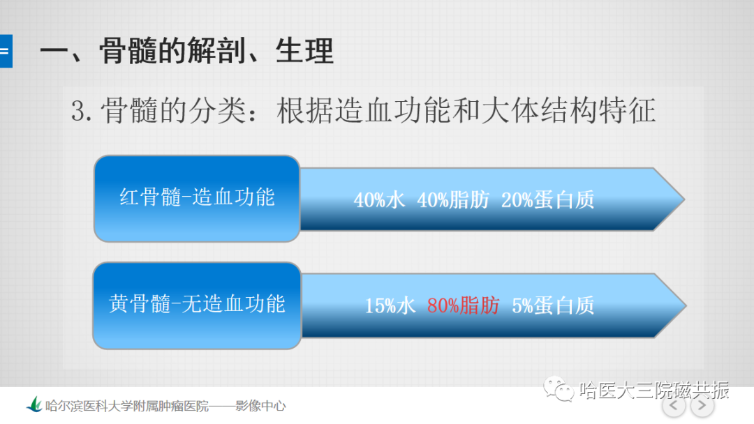 影像PPT - 【PPT】骨髓转化和再转化-22