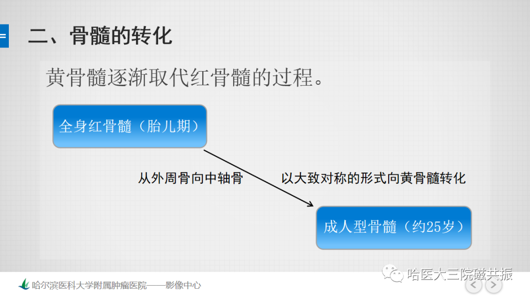 影像PPT - 【PPT】骨髓转化和再转化-24