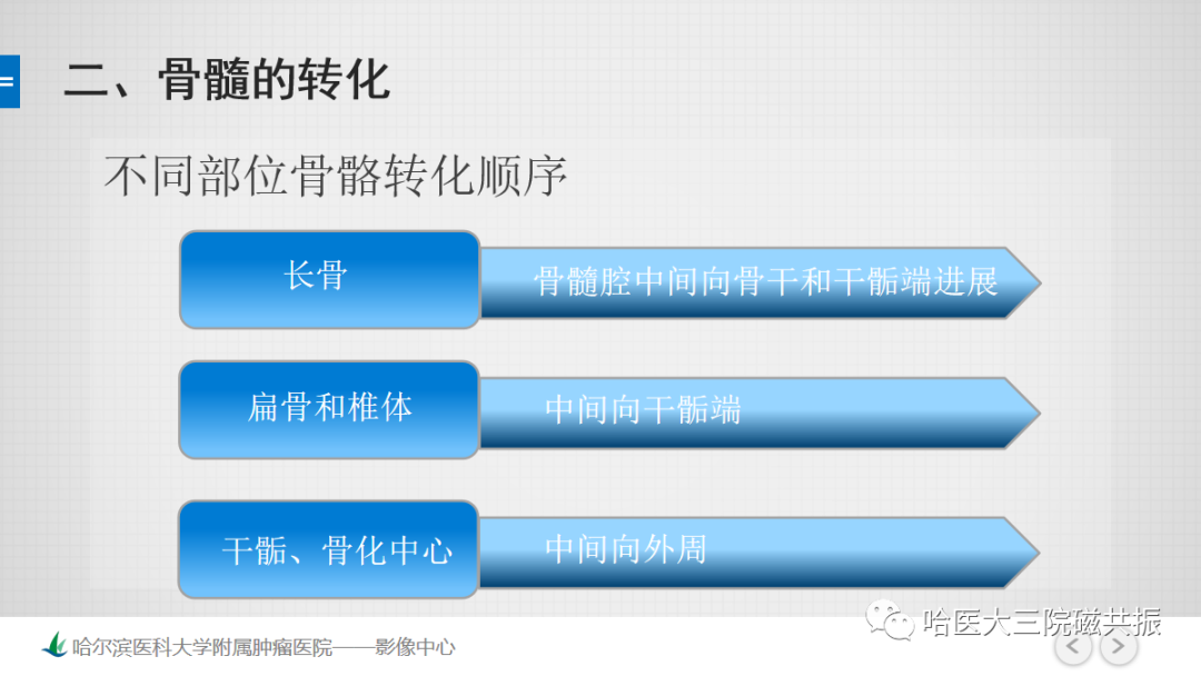 影像PPT - 【PPT】骨髓转化和再转化-25