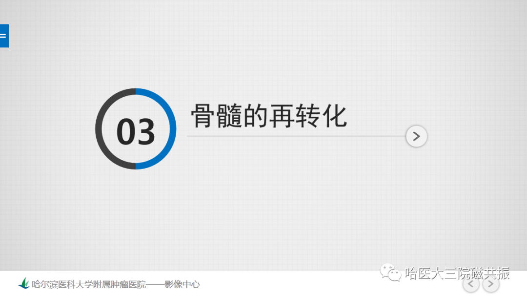 影像PPT - 【PPT】骨髓转化和再转化-46