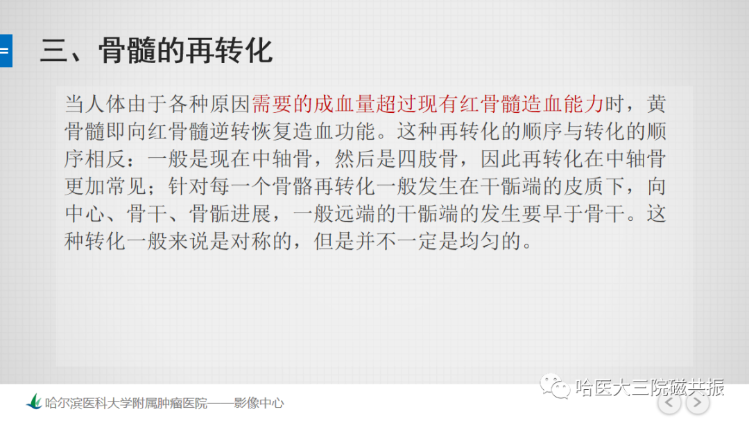 影像PPT - 【PPT】骨髓转化和再转化-47