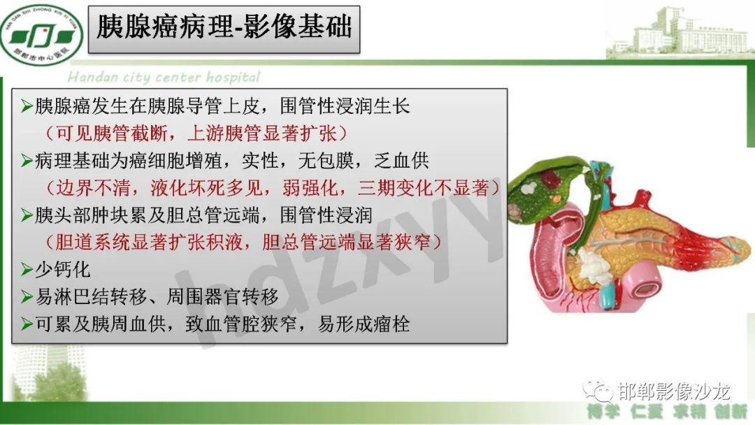 影像PPT - 【PPT】肿块性胰腺炎-26