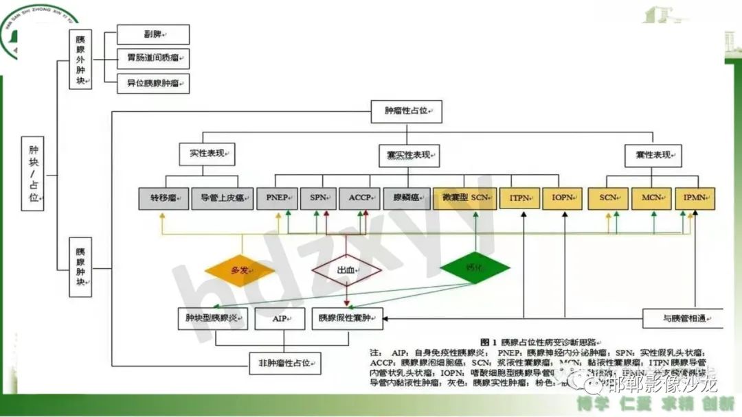 影像PPT - 【PPT】肿块性胰腺炎-34