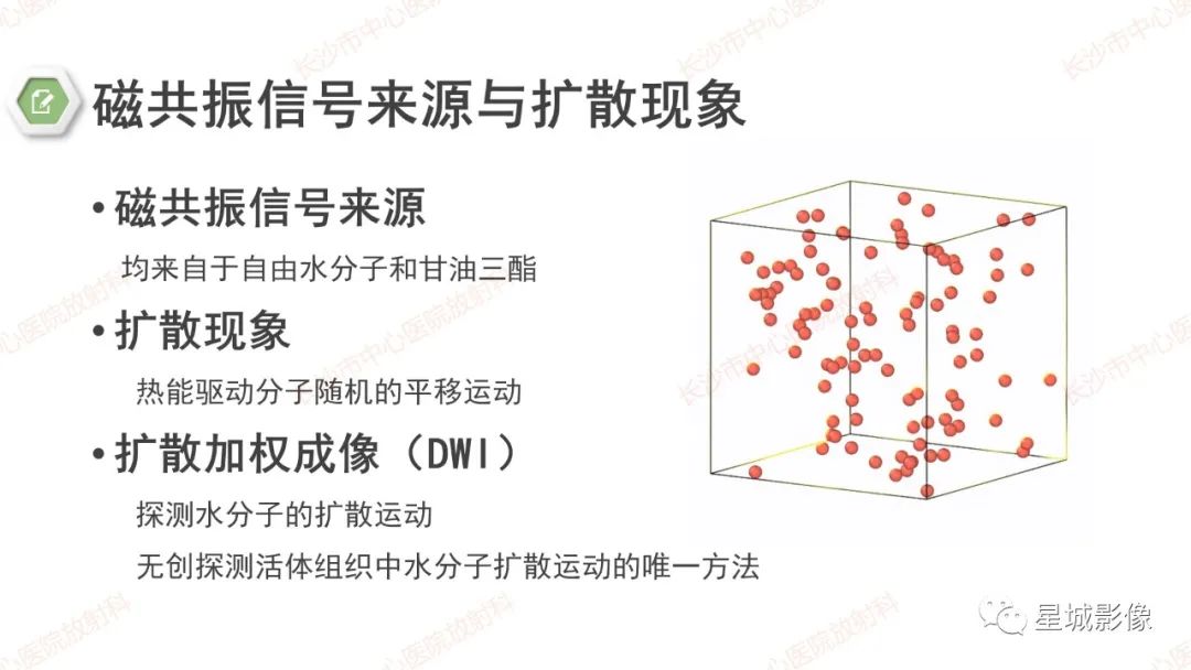 影像PPT - 【PPT】DWI序列判读原则及临床应用-3