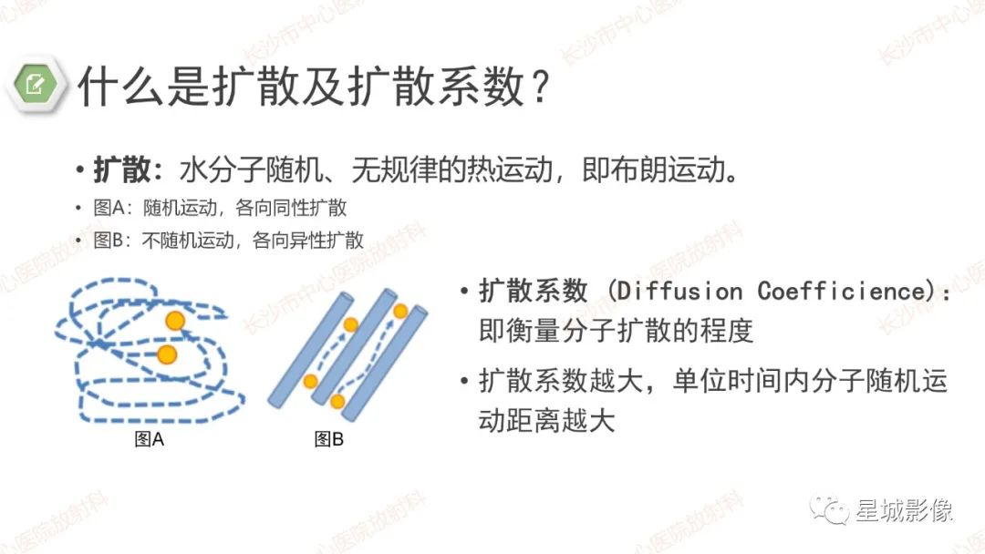 影像PPT - 【PPT】DWI序列判读原则及临床应用-4