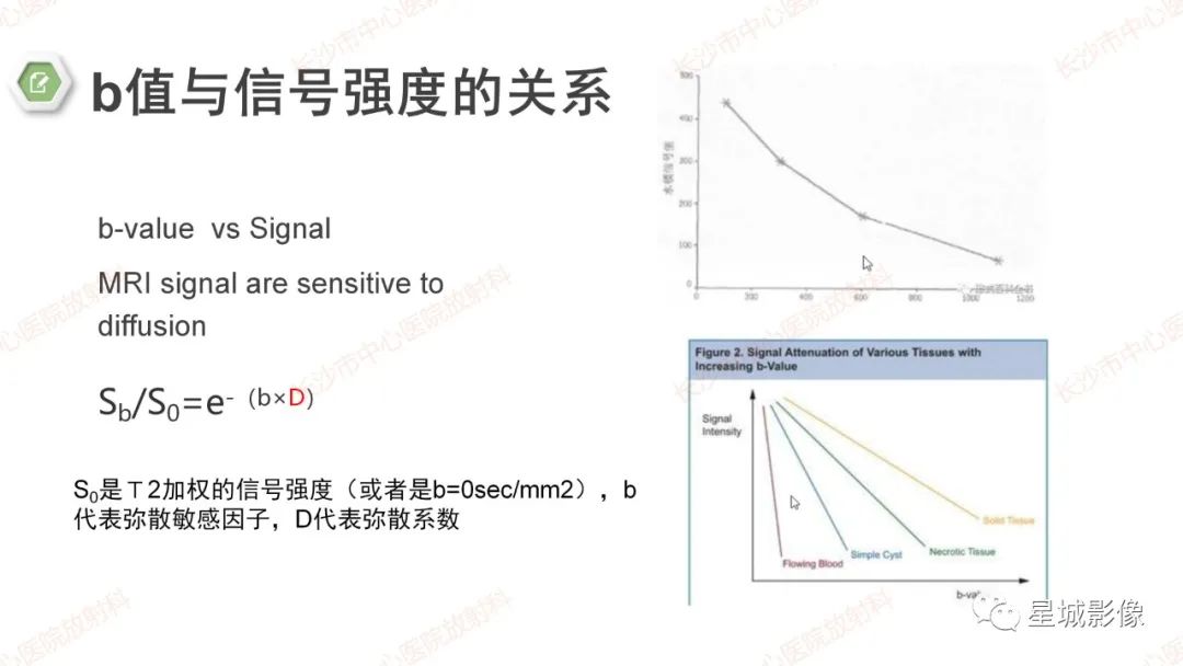 影像PPT - 【PPT】DWI序列判读原则及临床应用-13