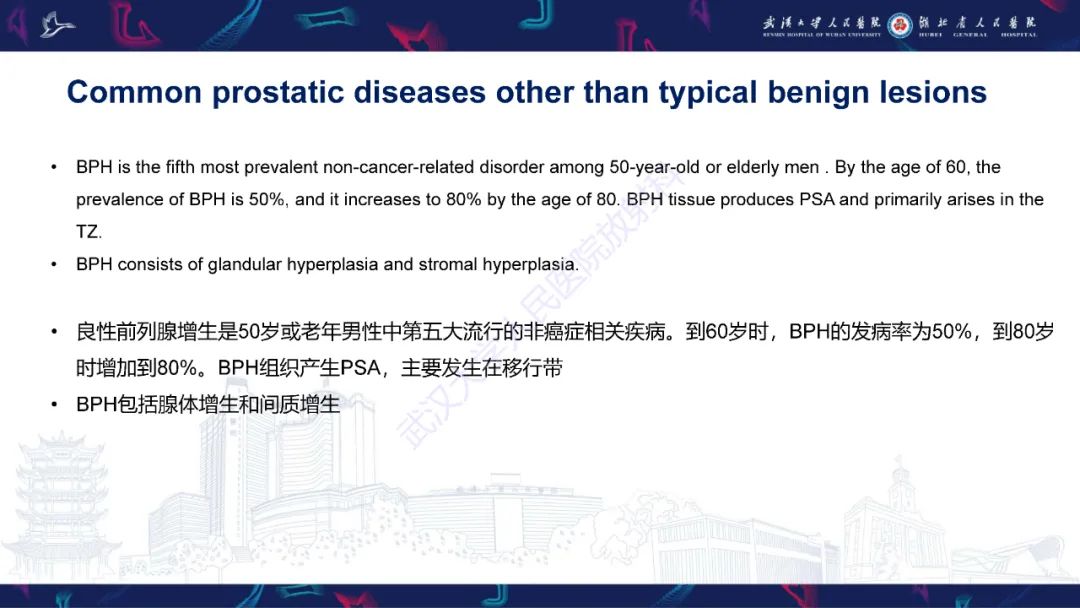影像PPT - 【PPT】前列腺少见病变MRI诊断-10