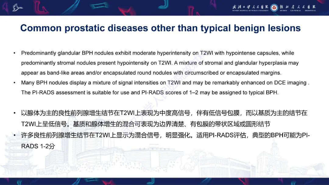 影像PPT - 【PPT】前列腺少见病变MRI诊断-11