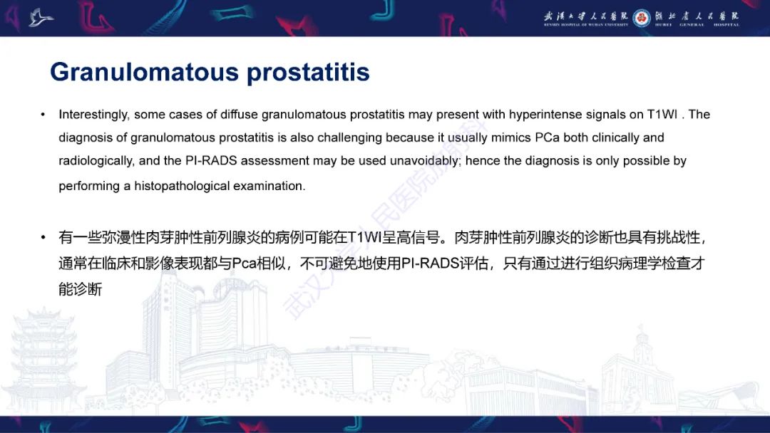影像PPT - 【PPT】前列腺少见病变MRI诊断-21