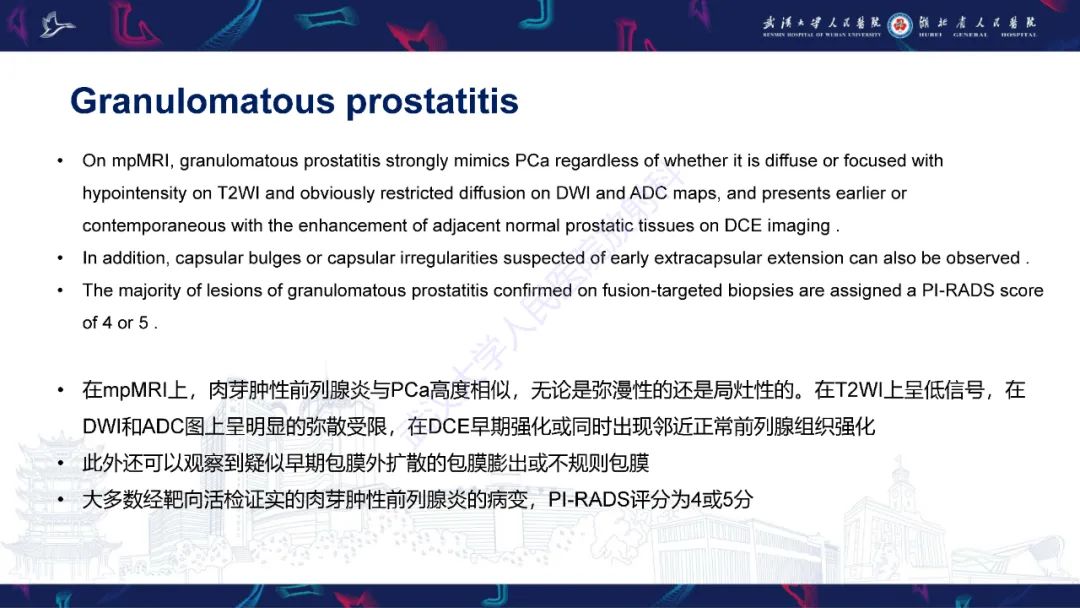 影像PPT - 【PPT】前列腺少见病变MRI诊断-20