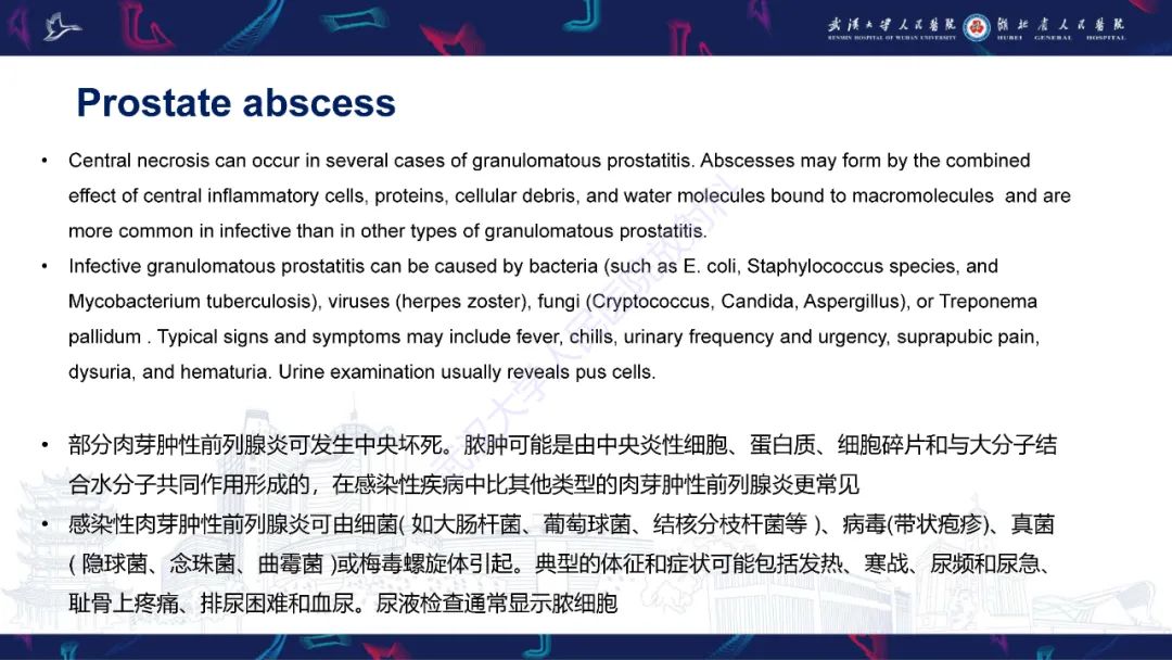 影像PPT - 【PPT】前列腺少见病变MRI诊断-25
