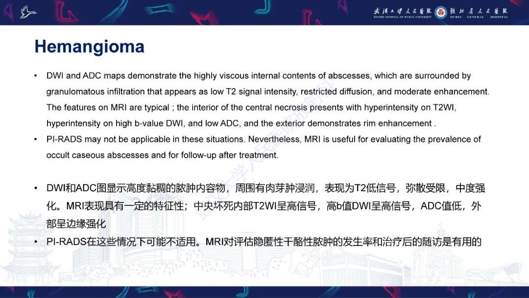 影像PPT - 【PPT】前列腺少见病变MRI诊断-26