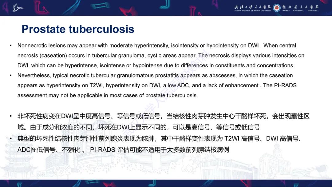 影像PPT - 【PPT】前列腺少见病变MRI诊断-30