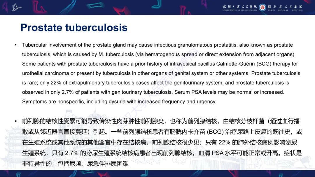 影像PPT - 【PPT】前列腺少见病变MRI诊断-28