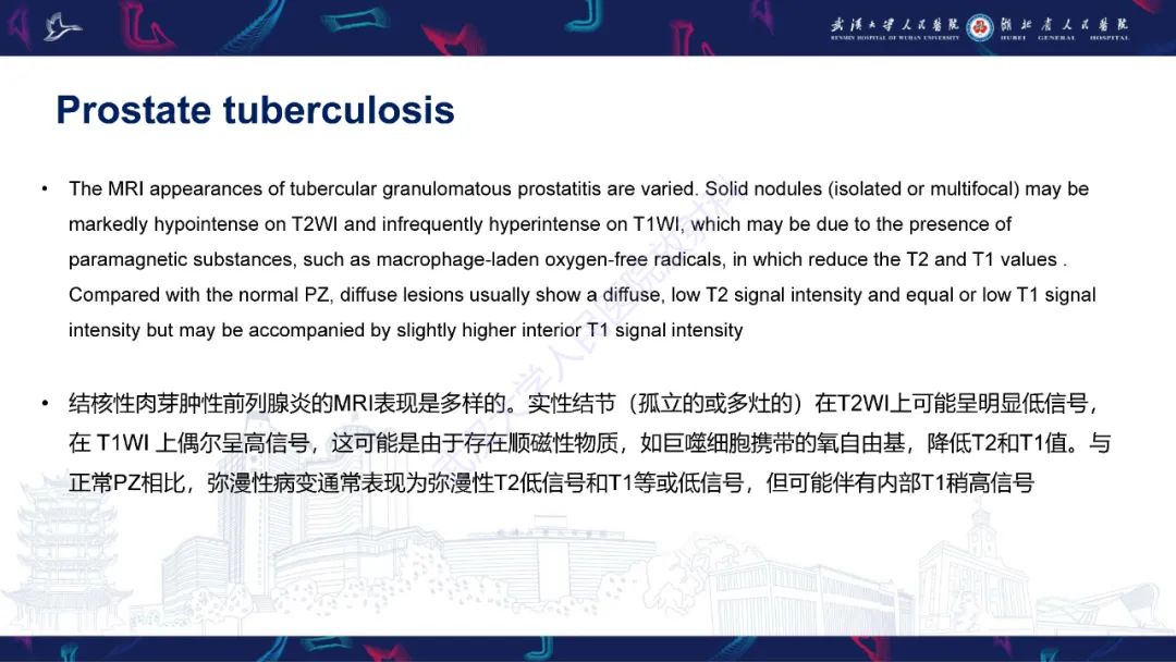 影像PPT - 【PPT】前列腺少见病变MRI诊断-29