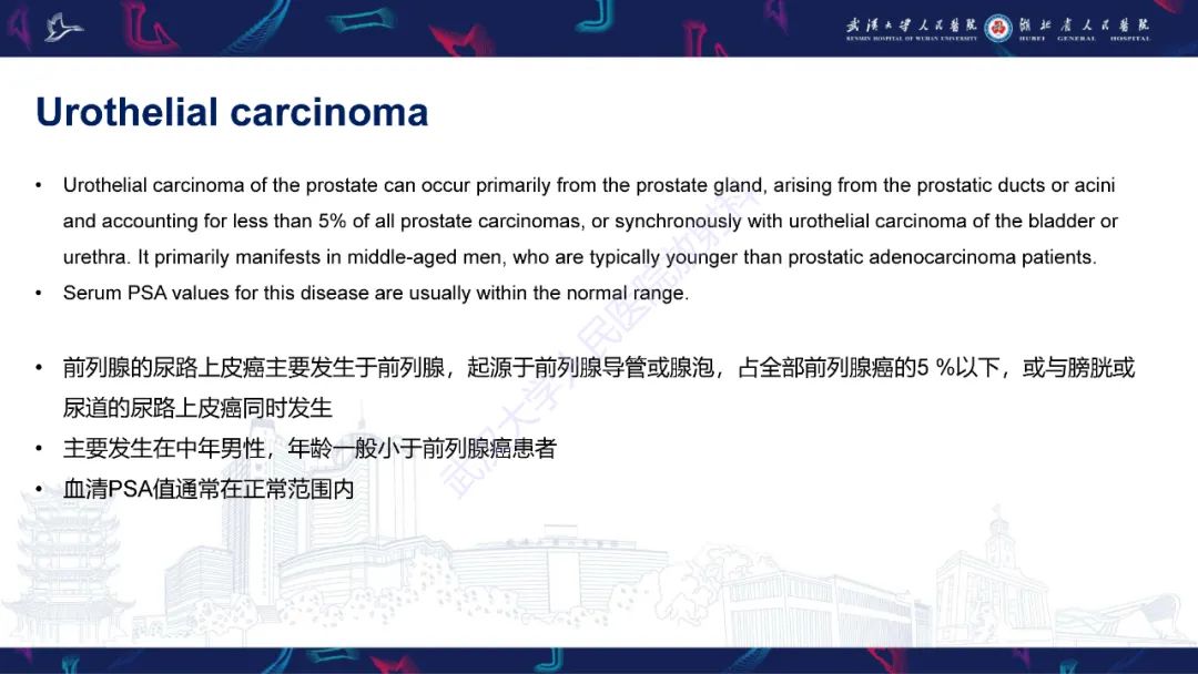 影像PPT - 【PPT】前列腺少见病变MRI诊断-40
