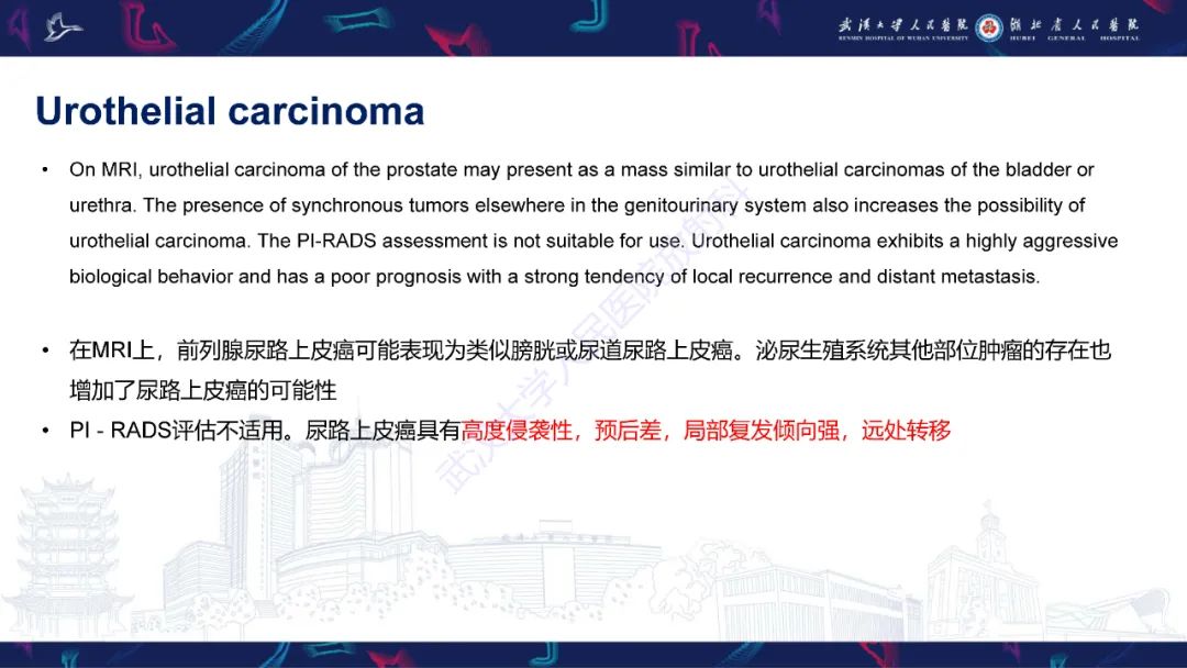 影像PPT - 【PPT】前列腺少见病变MRI诊断-41