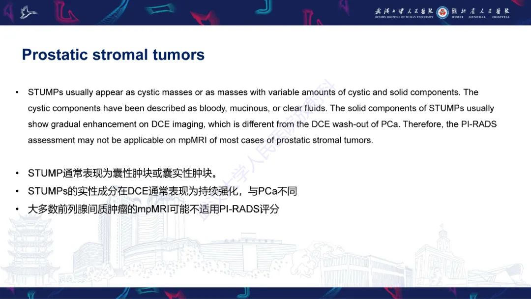 影像PPT - 【PPT】前列腺少见病变MRI诊断-45